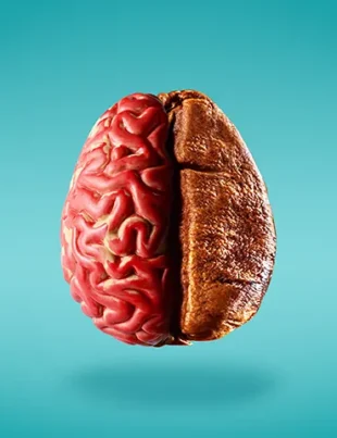 Concepto de cerebro y grano de café